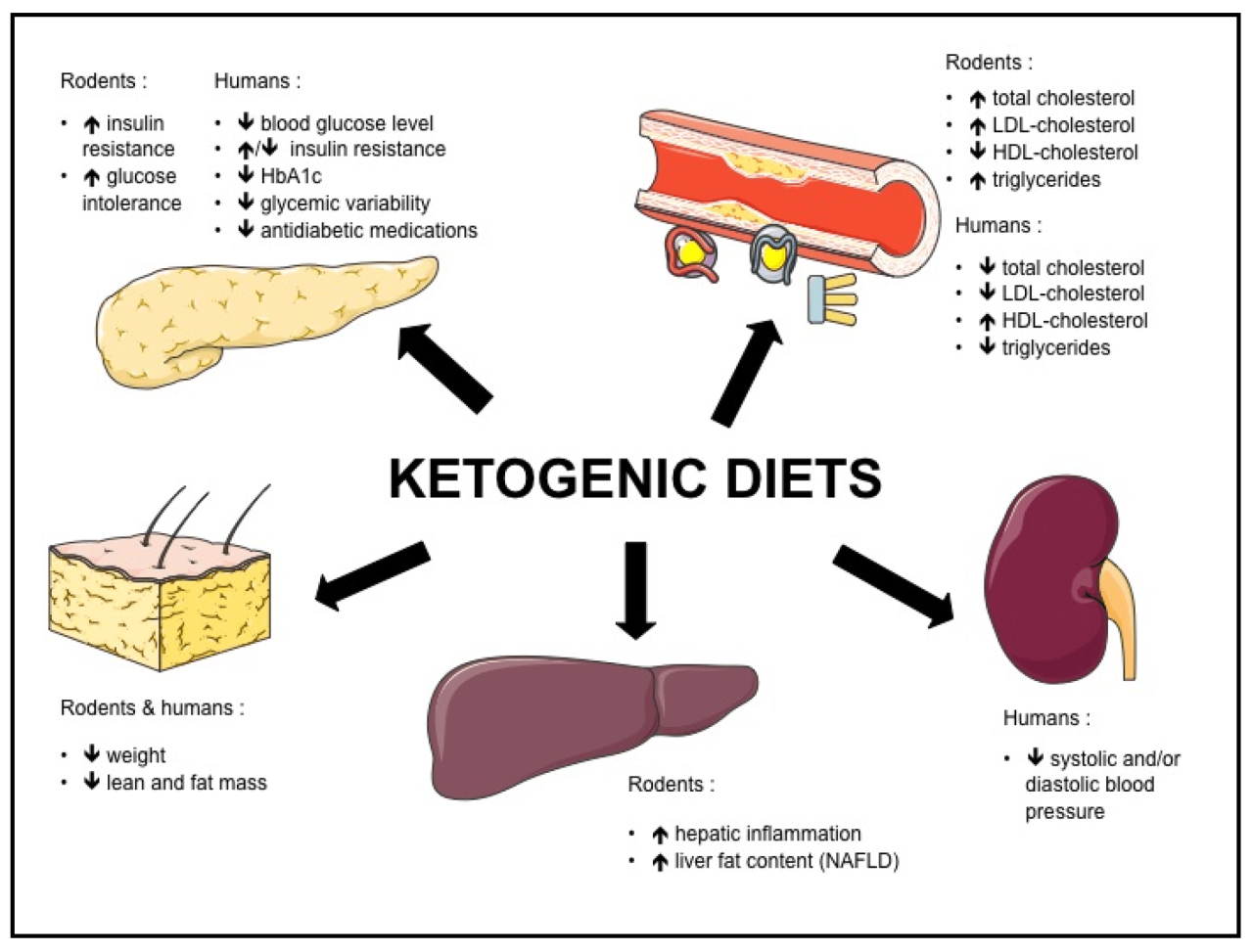 Starvation diet side effects